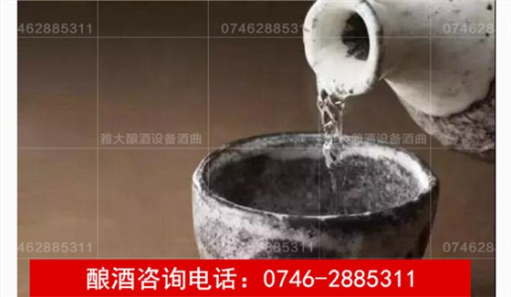 【釀酒技術(shù)】酒中霉味來(lái)自哪里？