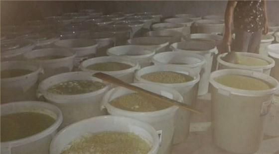 【釀酒技術(shù)】獼猴桃酒——裝壇