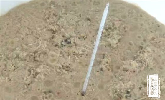 釀酒為什么要嚴(yán)格控制發(fā)酵溫度