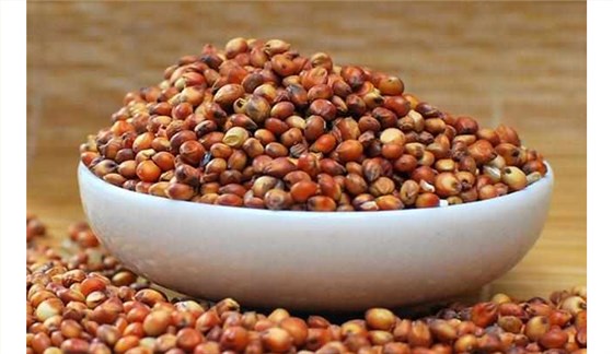 釀酒新人常見(jiàn)30問(wèn)——糧食/酒曲/發(fā)酵桶選擇篇