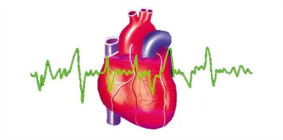 【白酒設(shè)備】適當(dāng)喝純糧白酒的好處有哪些？