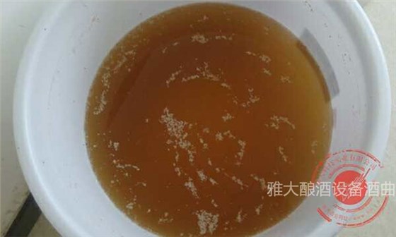 「蒸酒設(shè)備」大米生料發(fā)酵完成，酒醅成茶色
