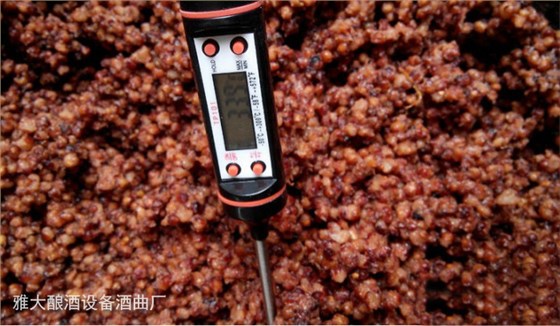 釀酒新人常見(jiàn)30問(wèn)——糧食/酒曲/發(fā)酵桶選擇篇