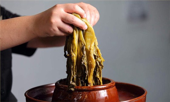 釀酒新人常見(jiàn)30問(wèn) 你不能不知的秘密——糧食/酒曲/發(fā)酵桶選擇篇