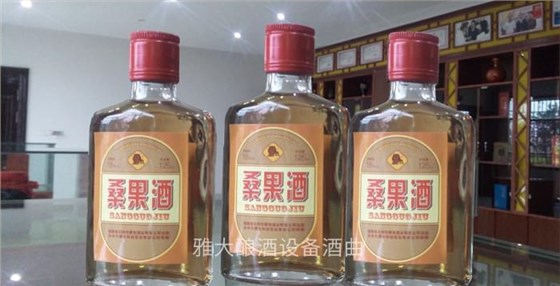 是什么讓雅大白酒生產(chǎn)設備學員小王走上桑果酒的釀造之路？