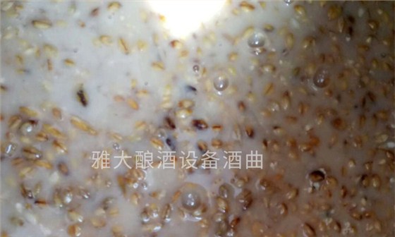 「釀酒設(shè)備廠(chǎng)家」青稞發(fā)酵酒的工藝流程——青稞發(fā)酵