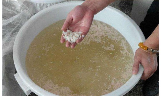 夏季用熟料釀酒設(shè)備做大米酒容易變酸 出酒率低 怎么辦？