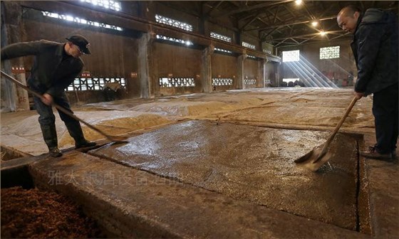 酒苦影響純糧白酒的銷售？雅大釀酒設(shè)備送上解決方案 3