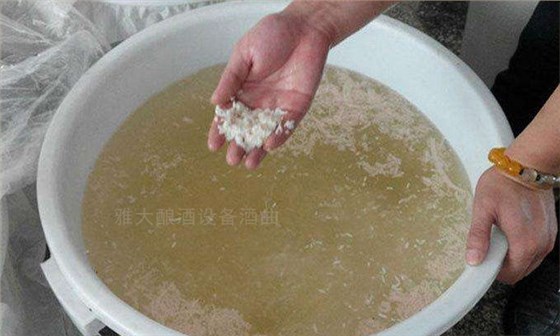 7.2-生料大米發(fā)酵