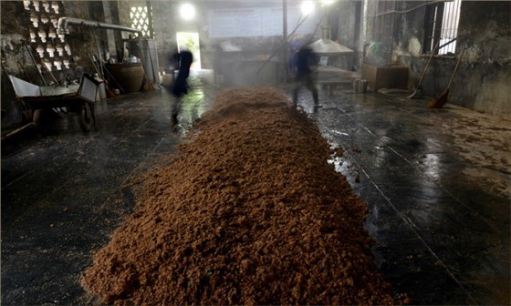 酒曲到底是什么“東東” 可將糧食轉(zhuǎn)化成酒而不是其他物質(zhì)？2