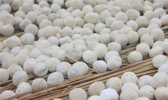 酒曲到底是什么“東東” 可將糧食轉(zhuǎn)化成酒而不是其他物質(zhì)？4