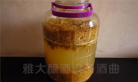 釀酒老師傅告訴你，怎樣在家用白酒生產(chǎn)設(shè)備做海棠果酒04
