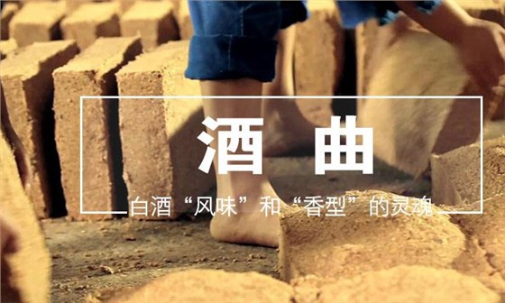 喝酒是否上頭口干，跟酒曲的好壞有直接關(guān)系嗎？03