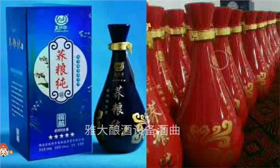 40年酒廠釀酒設(shè)備做白酒經(jīng)驗(yàn)，轉(zhuǎn)戰(zhàn)果酒市場(chǎng)年銷量突破220萬04