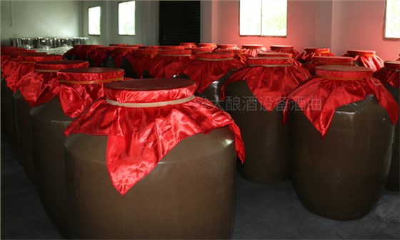 沒一技之長學(xué)什么好創(chuàng)業(yè)用糧食釀酒設(shè)備做酒前景好嗎？05