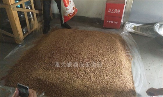 大手筆！雅大電加熱釀酒設備廠準備2萬斤高粱等您來實操釀酒-06