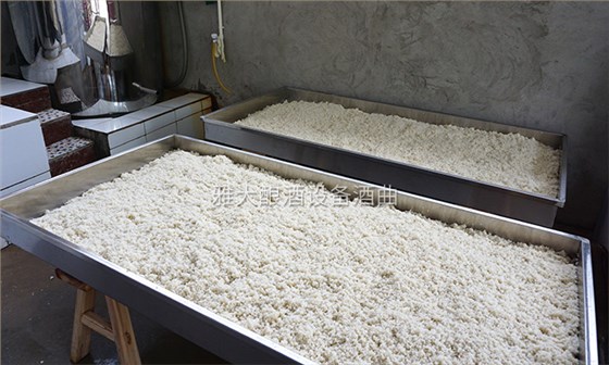 李樹(shù)剛用糧食釀酒設(shè)備做酒，成功辦理食品小作坊登記證的奧秘-07