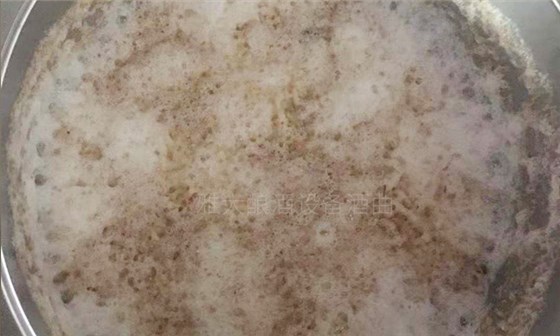 純實(shí)操！雅大大型釀酒設(shè)備釀酒師教泰國華裔制作龍眼酒-07