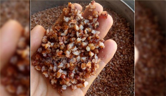 警惕！不銹鋼釀酒設(shè)備操作不當(dāng)給玉米酒帶來邪雜味！-02-高粱釀酒蒸開花