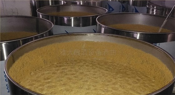 雅大大型釀酒設(shè)備廠家將瓜蔞肉釀成酒，讓果農(nóng)的利潤翻幾倍！-08