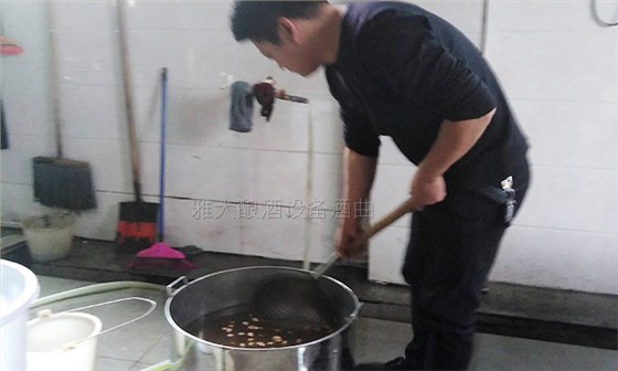 銀杏果酒怎么做？20年釀酒經(jīng)驗的新工藝釀酒設(shè)備廠手把手教您做！-02