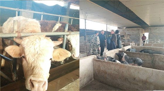 釀酒設(shè)備哪家好？1套釀酒設(shè)備，幾間瓦房，輕松在家辦酒廠-01