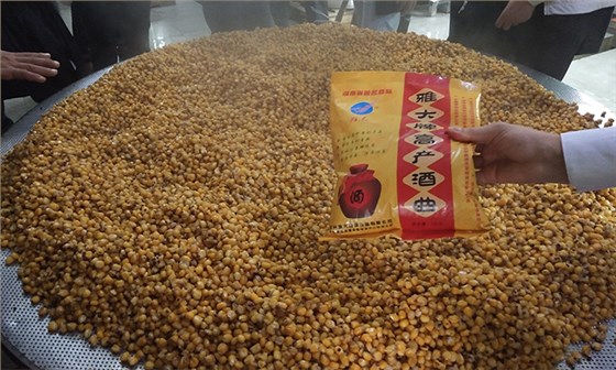 做酒設(shè)備釀造五糧酒的5個(gè)小妖精，到底有什么特有之處？-06-玉米釀酒下酒曲