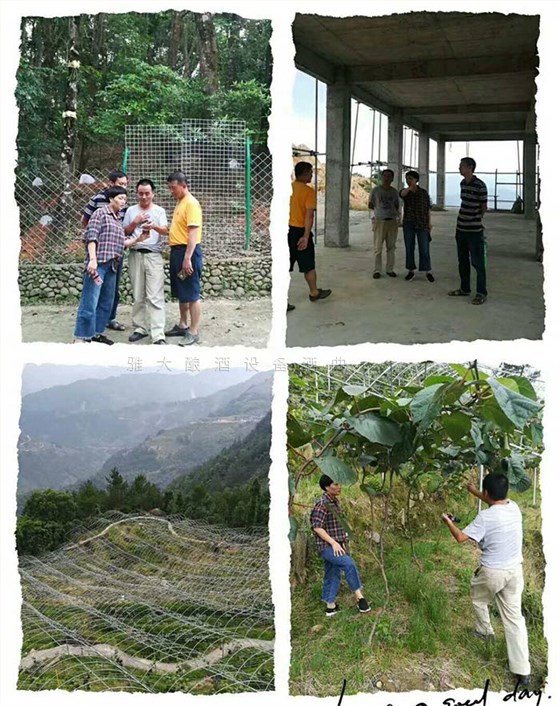 林姐借助雅大蒸汽釀酒設(shè)備，開發(fā)出富硒獼猴桃酒，生意好到爆！-03