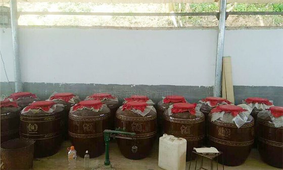 29-為實現(xiàn)“在一起不分離”，他用釀酒蒸餾設(shè)備釀酒創(chuàng)業(yè)并大獲成功2