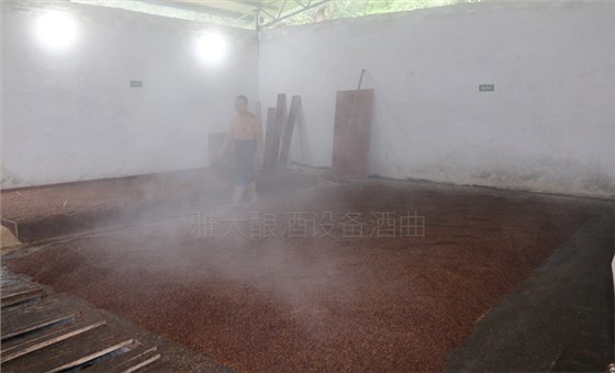 糯高粱釀酒技術交流