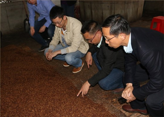 中國勁酒技術團隊造訪雅大公司12