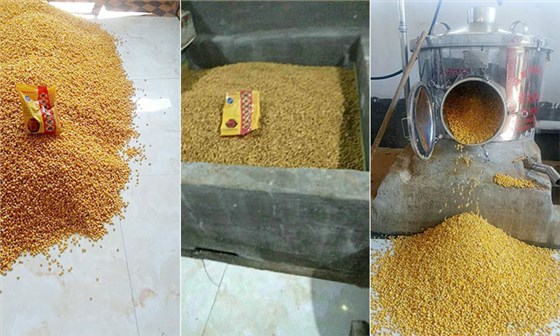 5-16為實(shí)現(xiàn)“在一起不分離”，他用釀酒蒸餾設(shè)備釀酒創(chuàng)業(yè)并大獲成功玉米釀酒