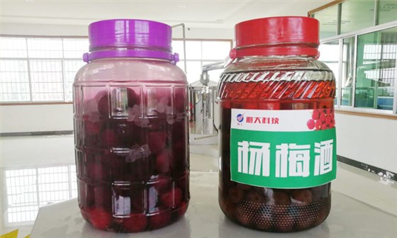 白楊、白酒、冰糖比例3:3:1