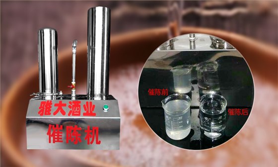 小型白酒催陳機(jī)
