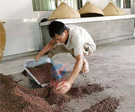 8.20-用蒸酒設(shè)備做酒的老酒坊發(fā)展遇瓶頸，雅大國家釀酒師來破局！7