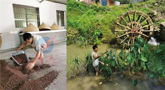 10.10武功山黑糯米酒坊續(xù)集來了，這波操作后酒坊生意更火了-釀酒農(nóng)莊3