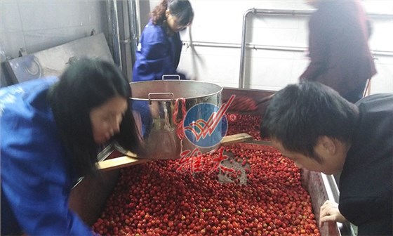 將海棠果清洗干凈、瀝干水份