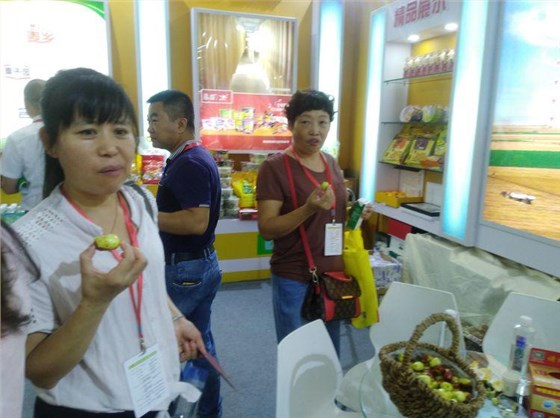 大棗每斤15元不愁賣(mài)，為什么張總還要用新型釀酒設(shè)備做紅棗酒？ 5