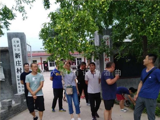 大棗每斤15元不愁賣(mài)，為什么張總還要用新型釀酒設(shè)備做紅棗酒？ 6 