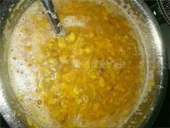 弄1套小型釀酒設(shè)備200型，回家用青梅煮酒（附青梅釀酒技術(shù)） 6