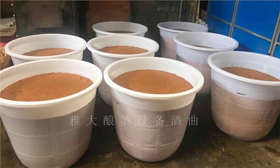 黃桃滯銷嚴重，雅大蒸餾釀酒設備彭老師上門指導釀酒9