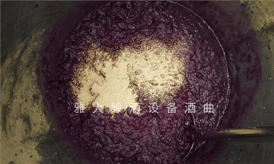 想做紫薯酒，口感好嗎？紫薯釀酒設(shè)備技術(shù) 6
