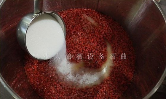 枸杞泡酒你見過，那枸杞發(fā)酵酒你見過嗎？ 6