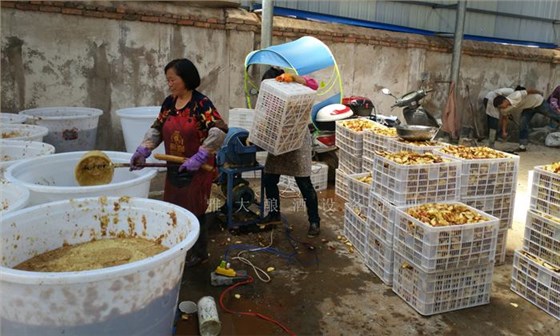 帶您走進(jìn)大型釀酒設(shè)備酒廠，參觀蘋果酒釀造全過程！ 3