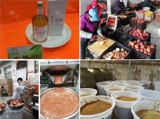 大型釀酒設(shè)備做蘋果酒，“花樣”賺錢