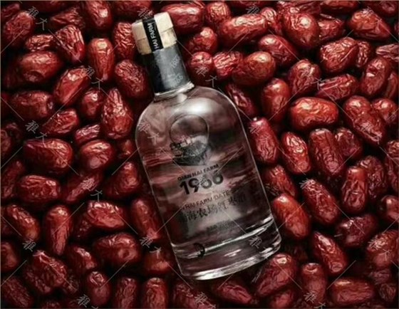 葉河源收購當?shù)貤椶r(nóng)種植的紅棗