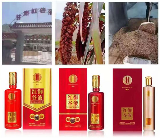 雅大2021“暑期酒廠實操教學(xué)”開班啦！ 4