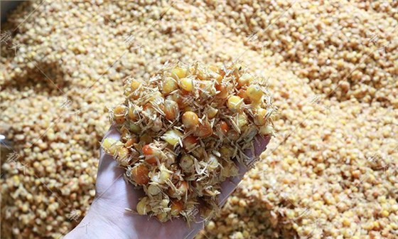 制酒設(shè)備蒸好的玉米糖化24小時(shí)，為什么還有點(diǎn)發(fā)干 酒液少 (1)