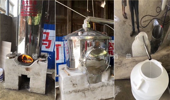 12.18致富新模式，用烤酒設備蒸酒后的酒糟飼養(yǎng)肉牛成本低，效益高-設備出酒