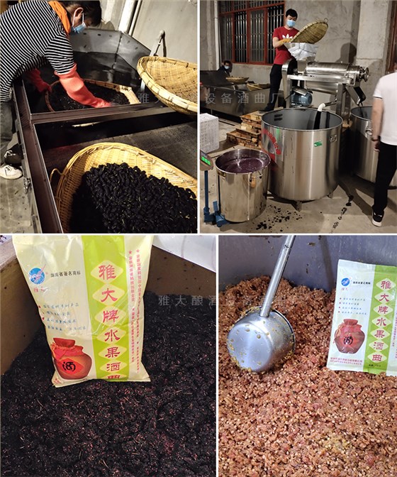 蔣建明老師指導(dǎo)客戶(hù)發(fā)酵桑葚和櫻桃